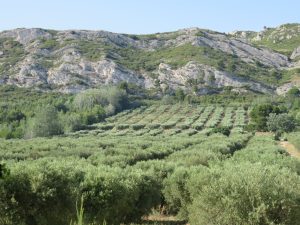 Les alpilles