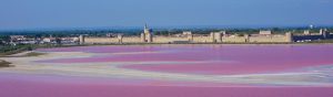 CAMARGUE INCONTOURNABLE SALINS AIGUEMORTES