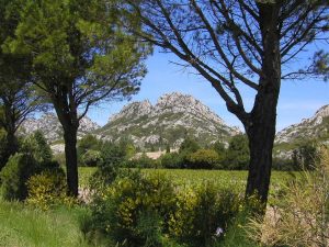 alpilles 13