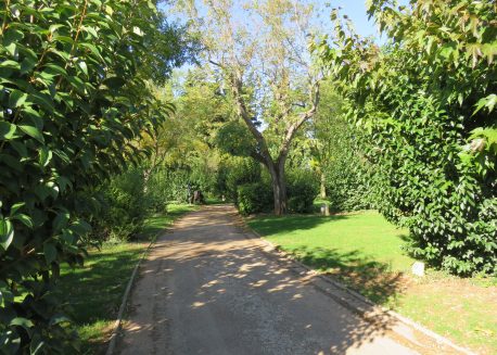 chemin accès emplacements camping